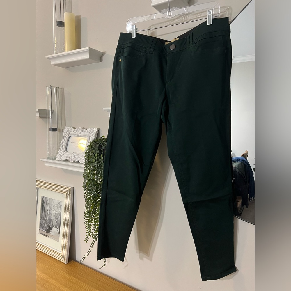 DEMOCRACY Dark Green Jeggings - Size 14